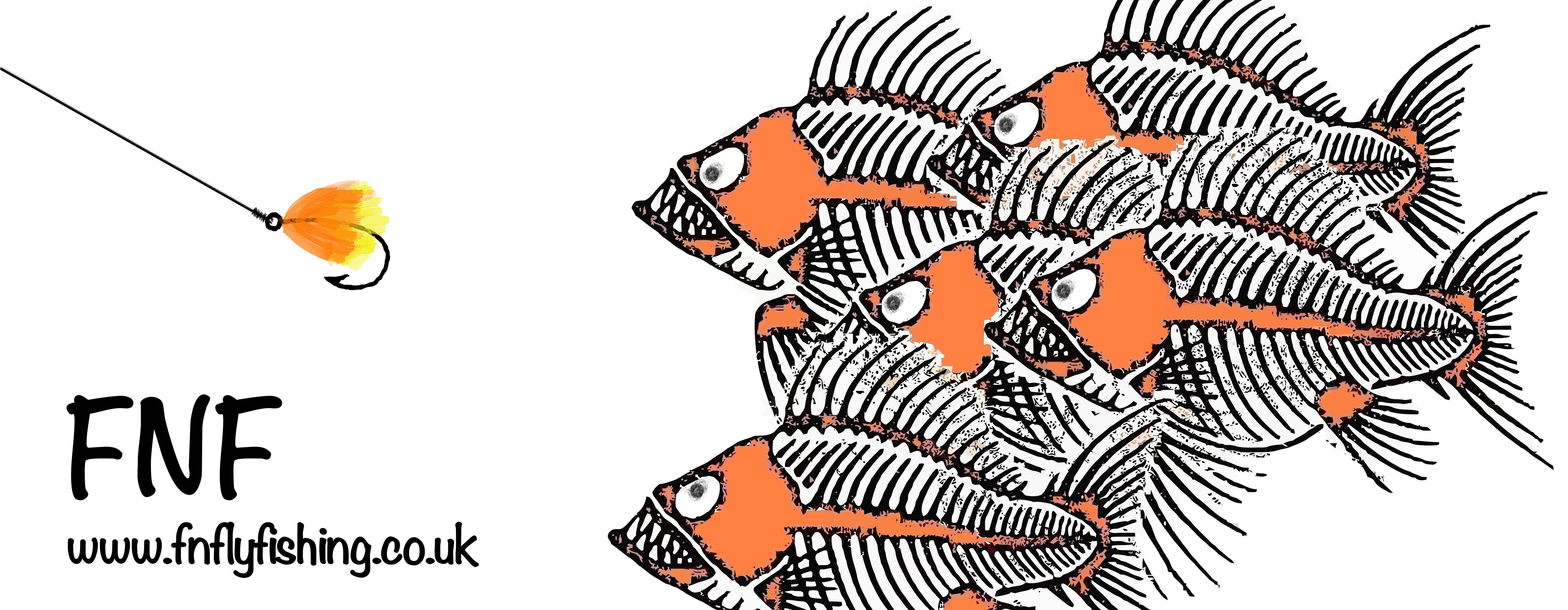 Two Tone Jelly (15mm)