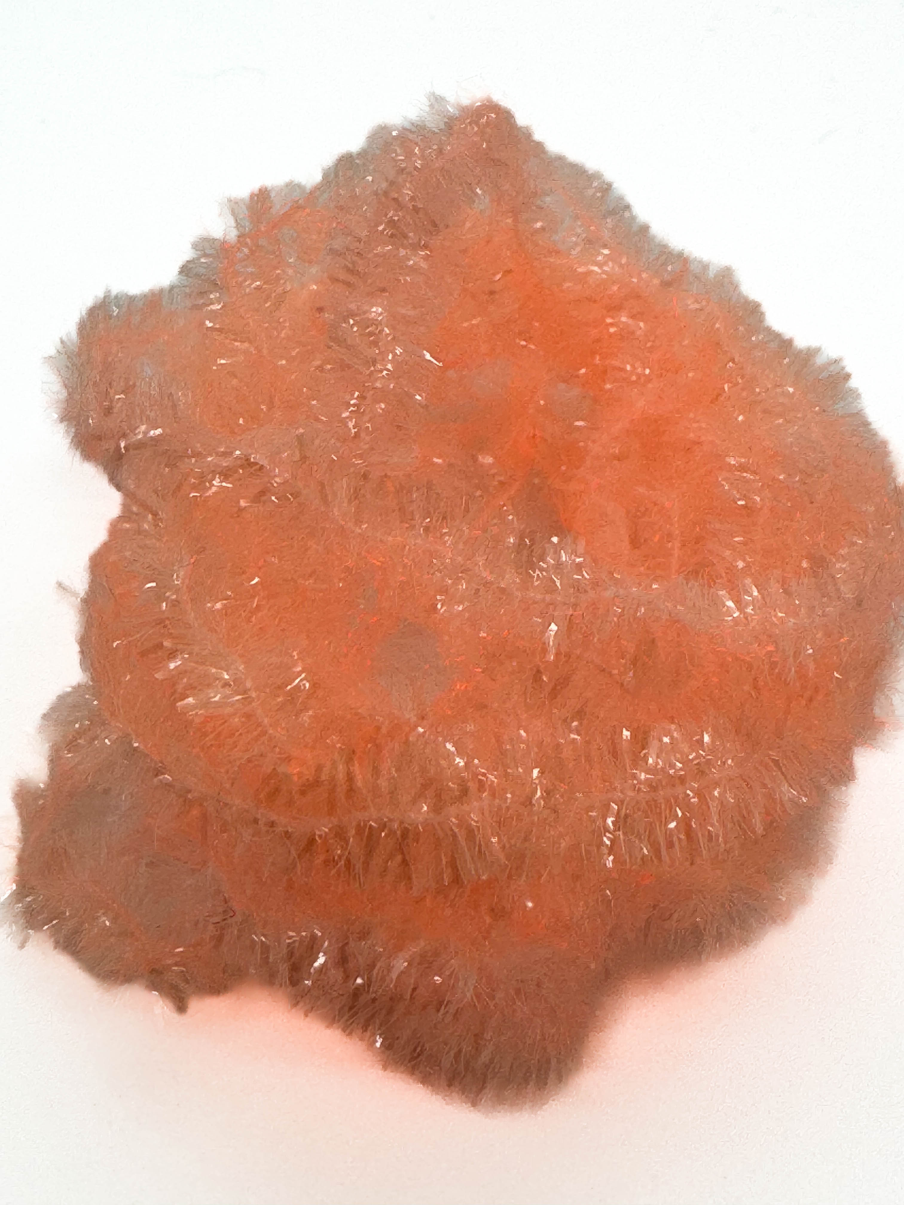 FNF Micro Jelly (6mm)