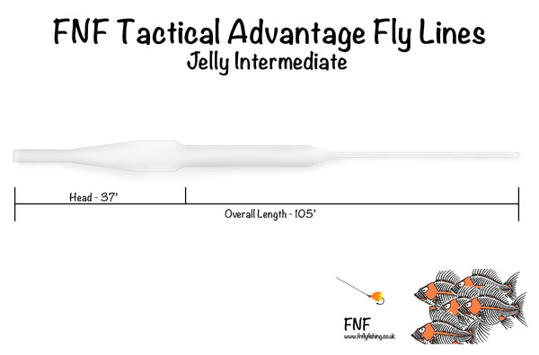 Jelly Intermediate